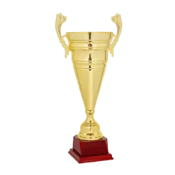 Ref. 3 - Copa trofeo Kansas 50cmx160mm