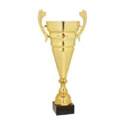 Ref. 3 - Copa trofeo Puebla 51cmx160mm