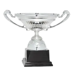 Ref. 3 - Copa trofeo Daejeon 22cmx180mm