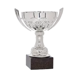 Ref. 4 - Copa Burnsville 17cm
