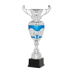 Ref. 3 - Copa Anaheim 45cm