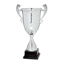 Ref. 2 - Copa trofeo Niigata 62cmx240mm