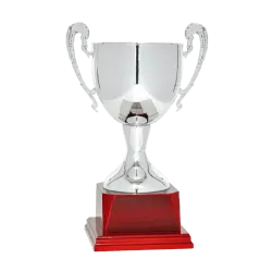 Ref. 4 - Copa trofeo Bremen 24cmx100mm