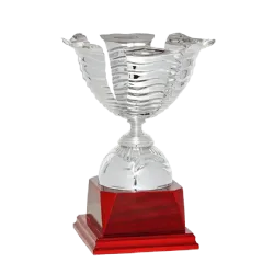 Ref. 3 - Copa trofeo Kunming 20cmx160mm