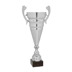 Ref. 1 - Copa trofeo Huizhou 61cmx200mm