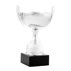Ref. 3 - Trofeo Copa Roundrock 17,5cmx100mm