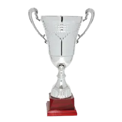 Ref. 4 - Copa trofeo Foshan 41cmx160mm