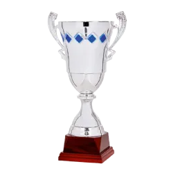 Ref. 2 - Copa trofeo Hyderabad 50cmx180mm