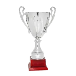 Ref. 6 - Copa trofeo Shantou 27cmx100mm