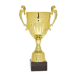 Ref. 1 - Copa trofeo Taiyuan 45cmx200mm