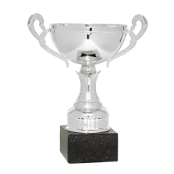 Ref. 5 - Copa trofeo Bristol 18cmx100mm