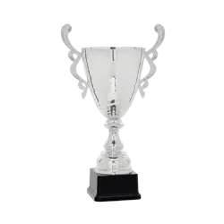 Ref. 6 - Copa Dalycity 29cm