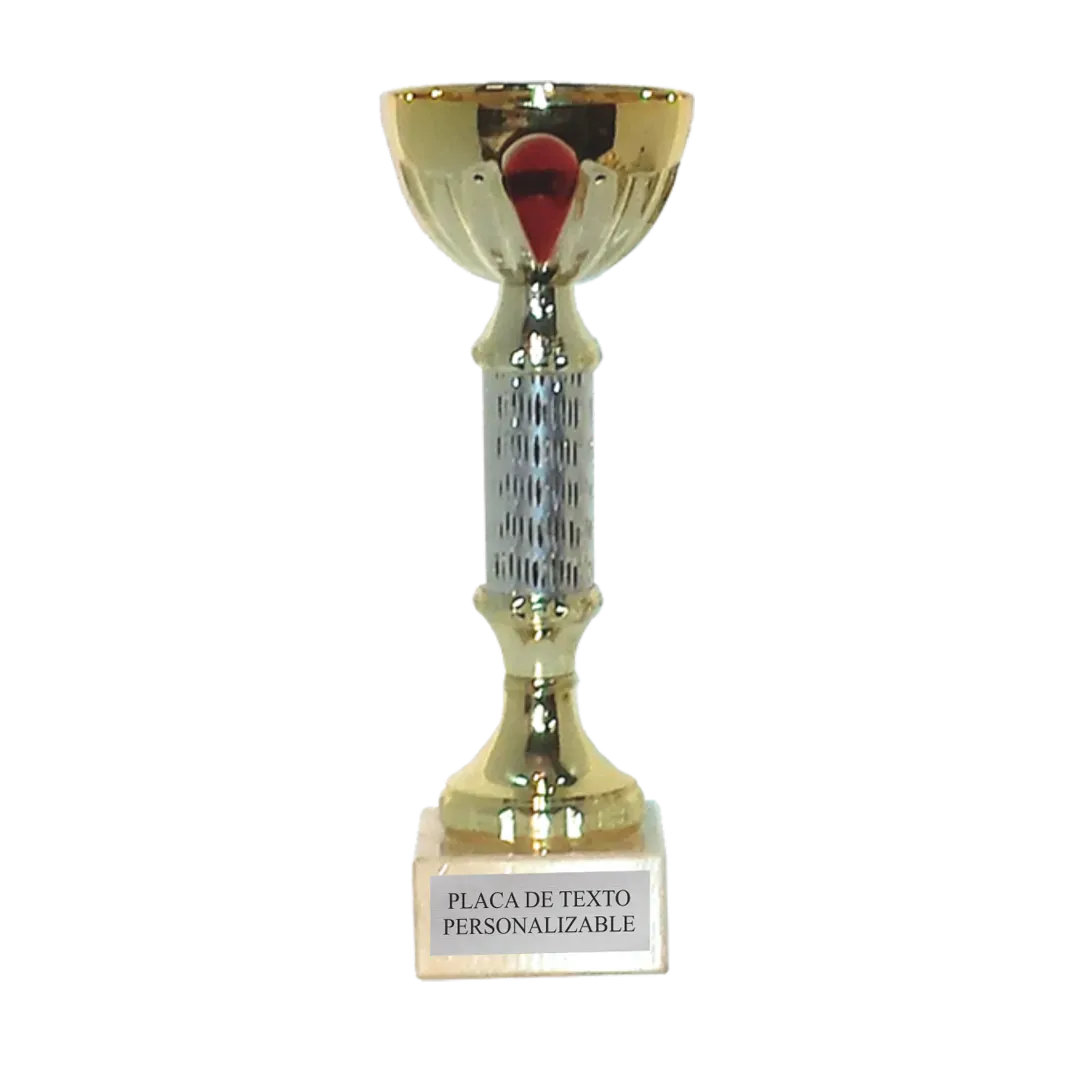 Copa Adelaida en Trofeos LeverySport