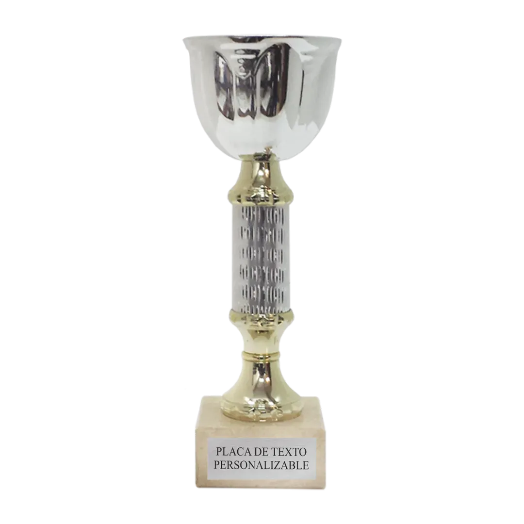 Copa Nantes en Trofeos LeverySport