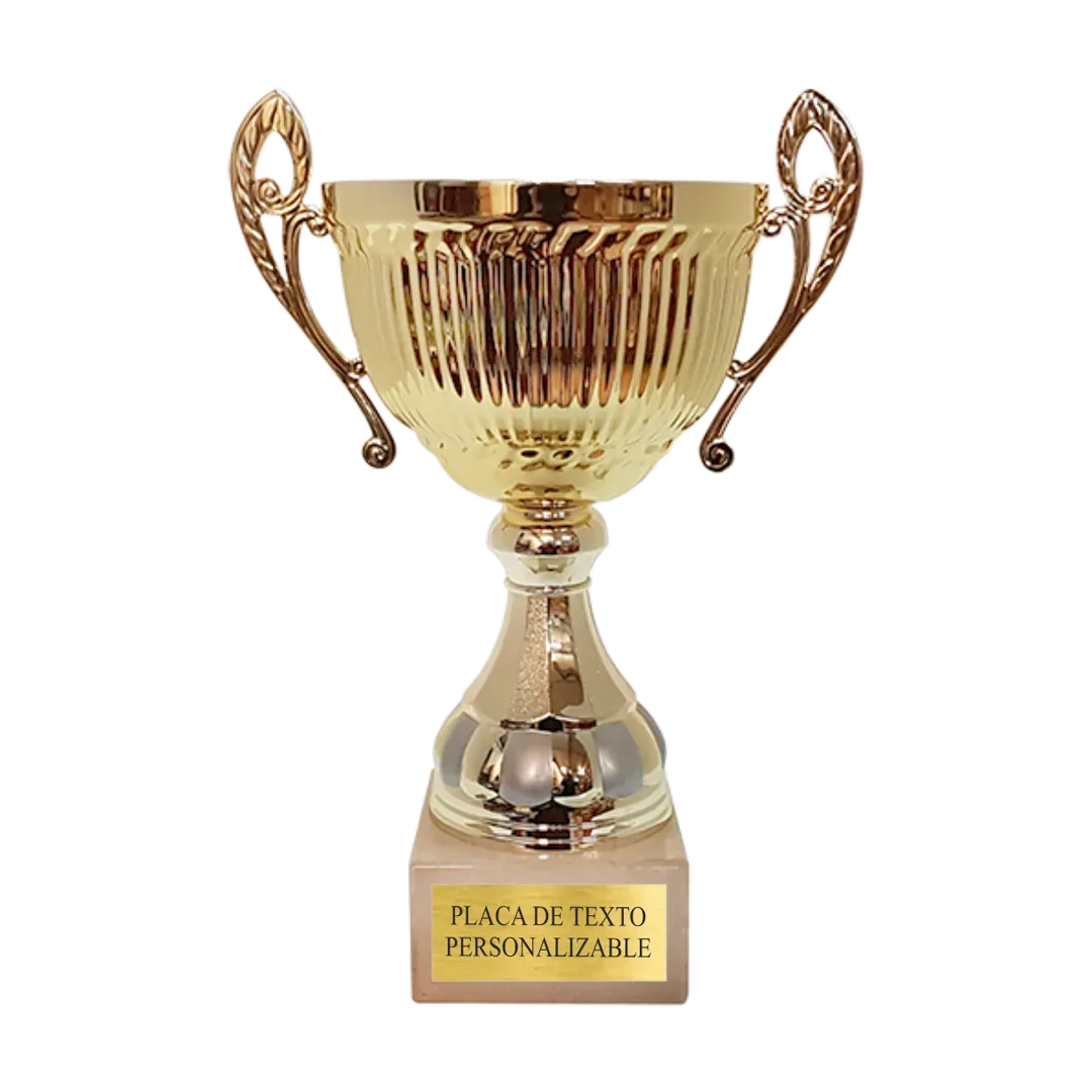 Copa Albany en Trofeos LeverySport