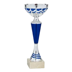 Copa Singapur 