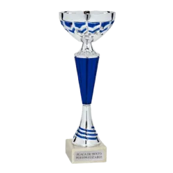 Copa Singapur ejemplo