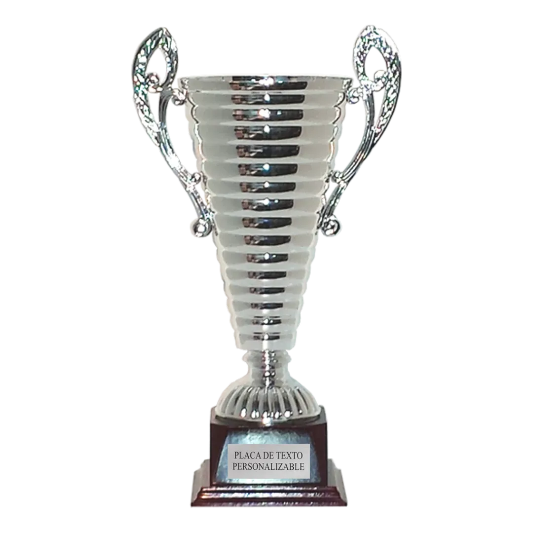 Copa Austin en Trofeos LeverySport