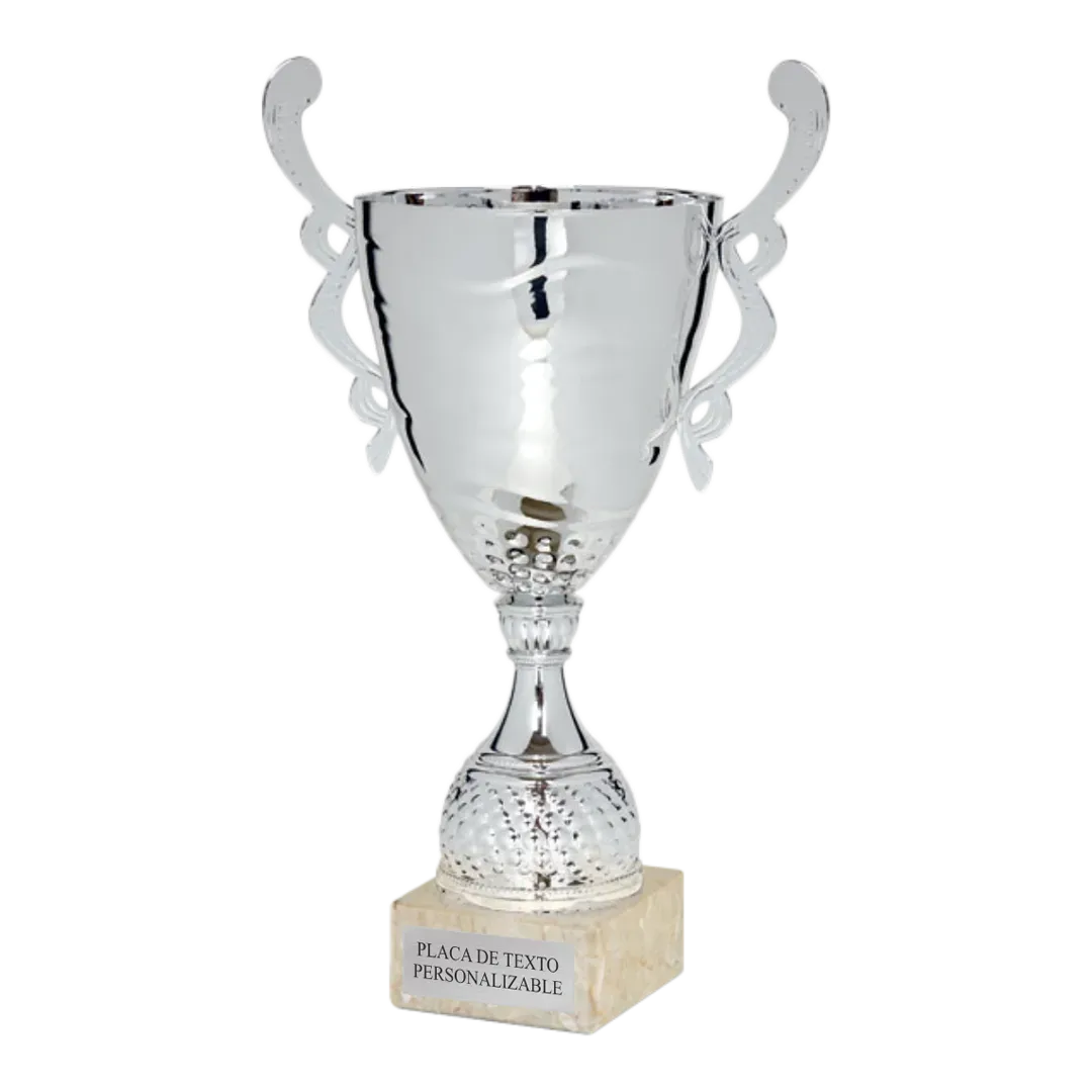 Copa Zaragoza en Trofeos LeverySport