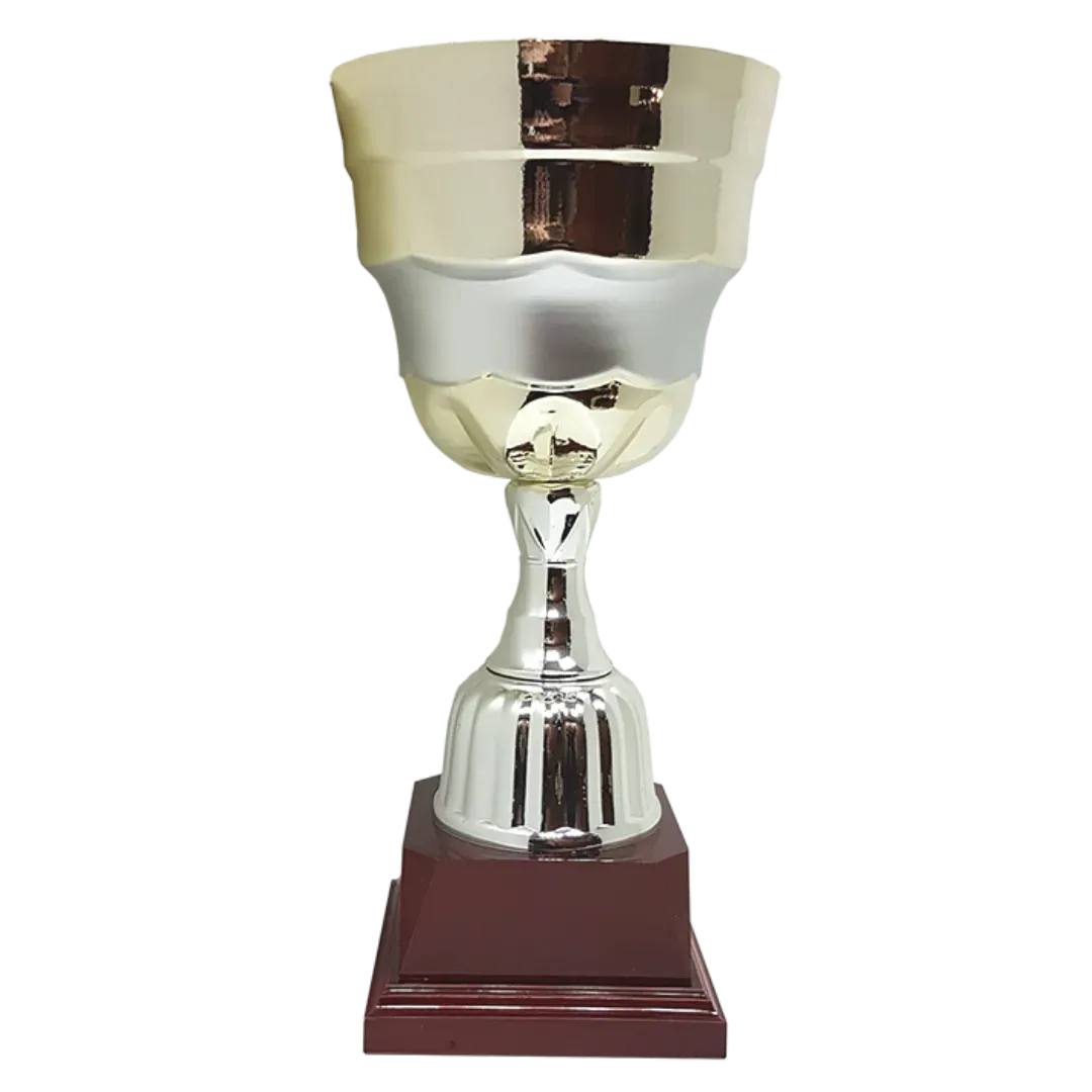 Copa Wuxi 
