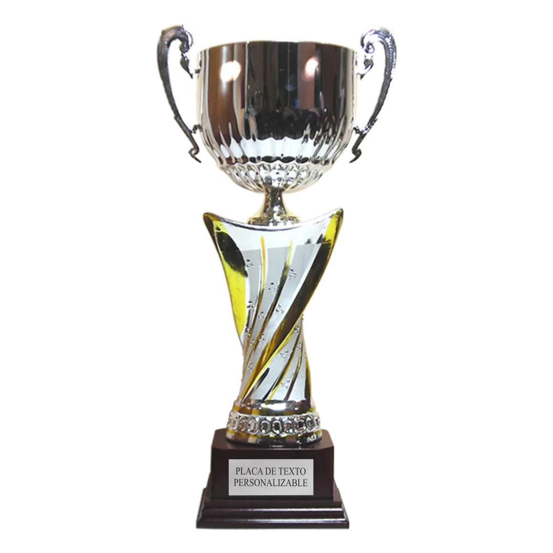 Copa Colonia en Trofeos LeverySport