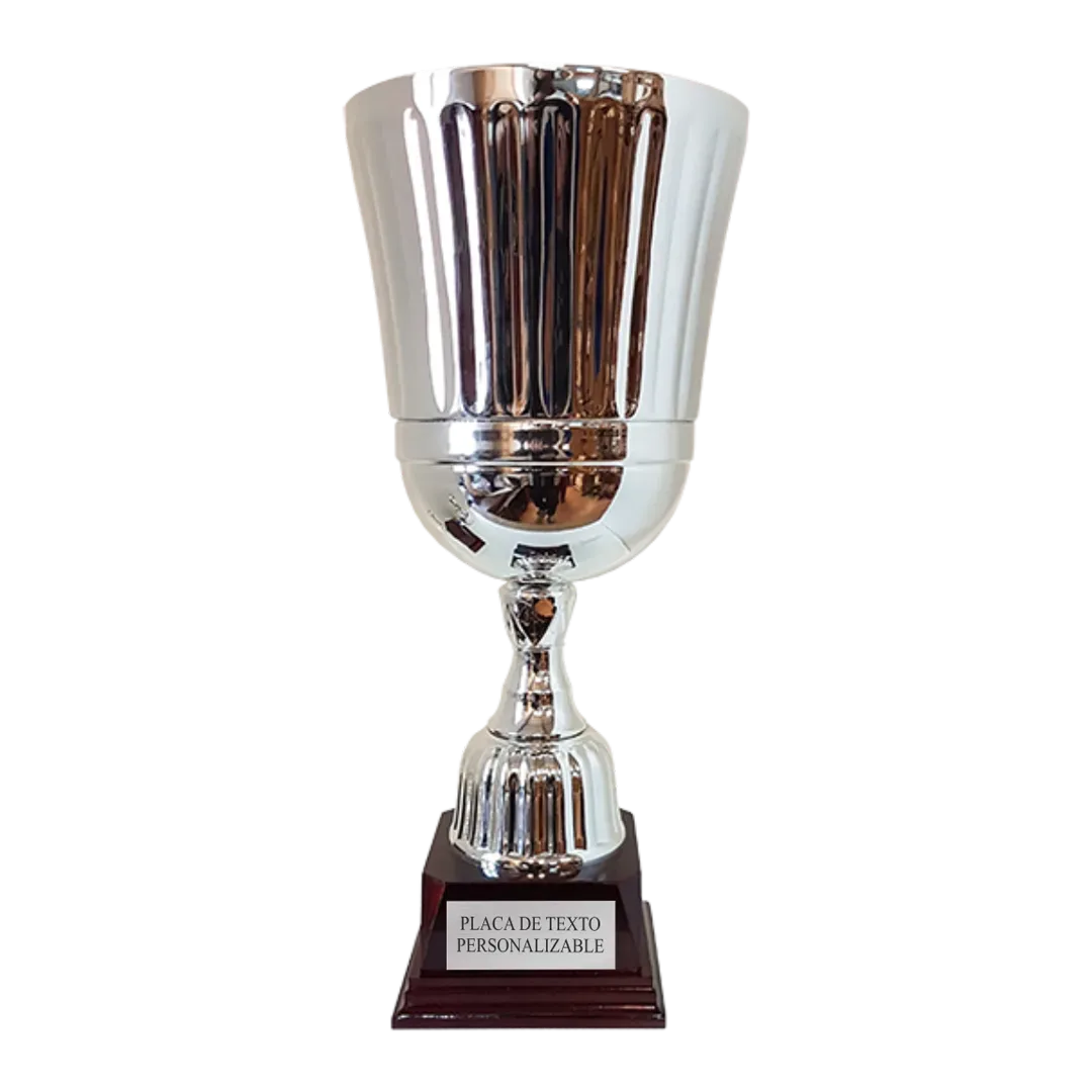 Copa Baltimore en Trofeos LeverySport