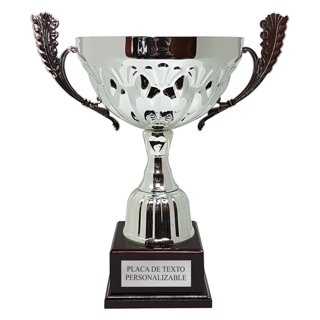 Copa San Diego en Trofeos LeverySport
