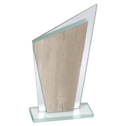 Ref. 2 - Trofeo de cristal Triangulum 19x11