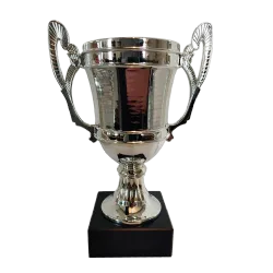 Ref. 2 - Trofeo PISA 18cm