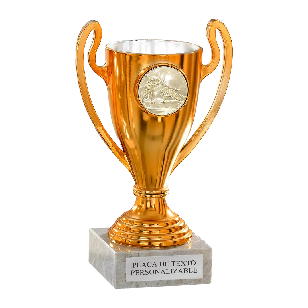 Copa trofeo Estambul en Trofeos LeverySport