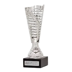 COPA Dongguan ejemplo