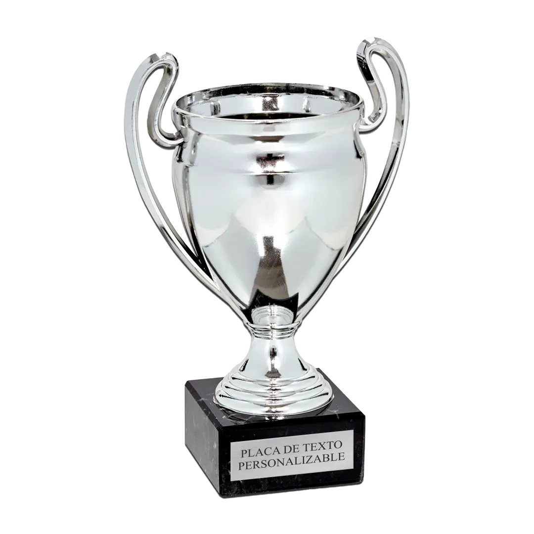 Copa trofeo Nankín en Trofeos LeverySport