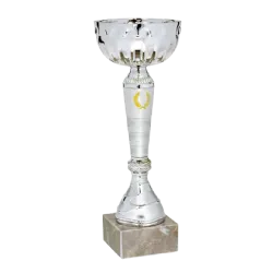 Ref. 3 - COPA Hangzhou 22