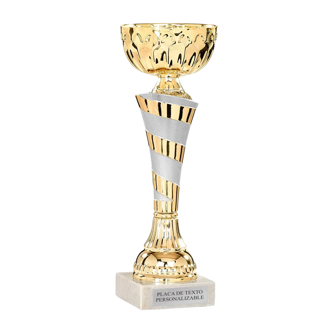 Copa trofeo Minneapolis en Trofeos LeverySport