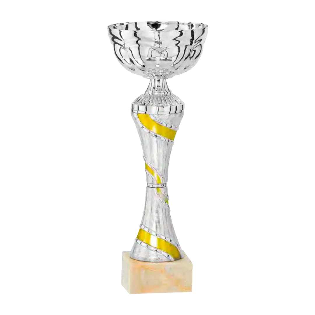 Copa trofeo Fukuoka