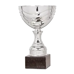Ref. 3 - COPA Nueva Delhi 20