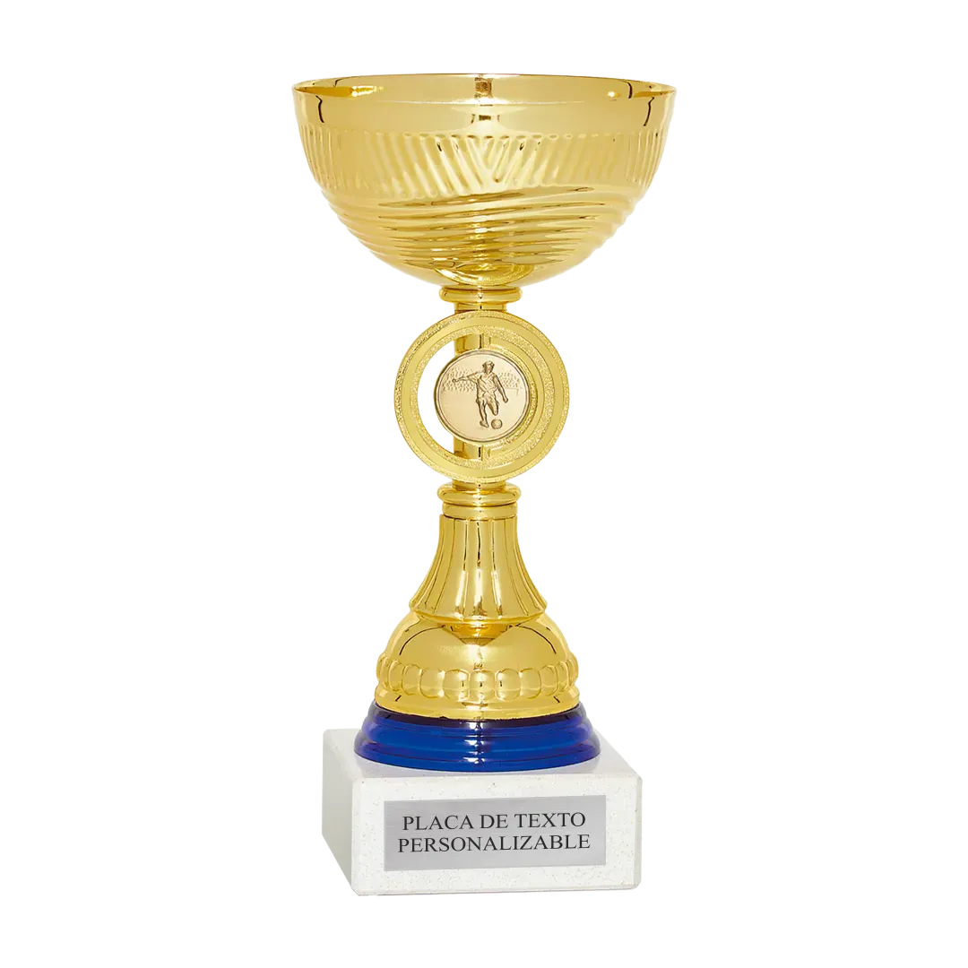 COPA Viena ejemplo