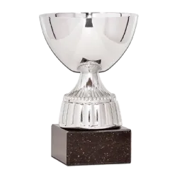 Ref. 2 - COPA Santiago 18