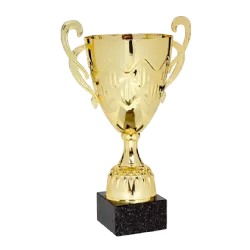 Ref. 2 - COPA San Petersburgo 41