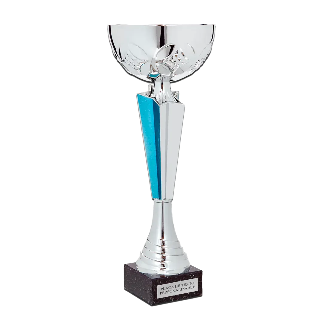 COPA Róterdam ejemplo