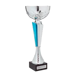 COPA Róterdam ejemplo