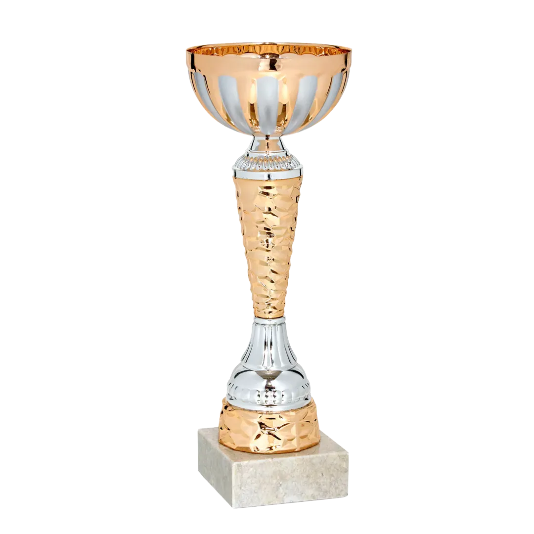 Copa trofeo Hefei