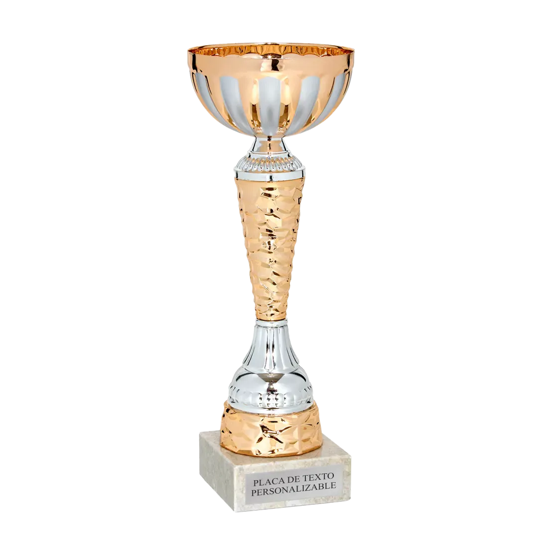Copa trofeo Hefei en Trofeos LeverySport