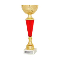 COPA Calcuta ejemplo
