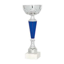 Ref. 1 - COPA Brisbane 37