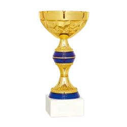 COPA Brasilia 