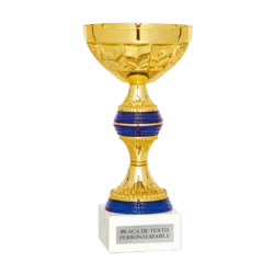 COPA Brasilia ejemplo