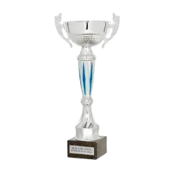 COPA La Haya ejemplo