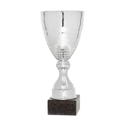 Ref. 1 - COPA Doha 31