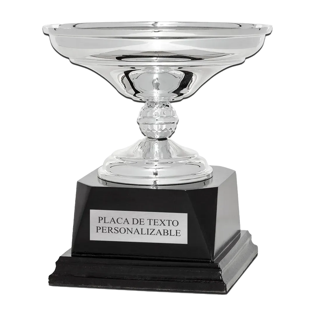 Copa trofeo Jinan en Trofeos LeverySport